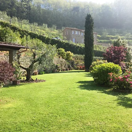 Camelie * Petrognano (Lucca)